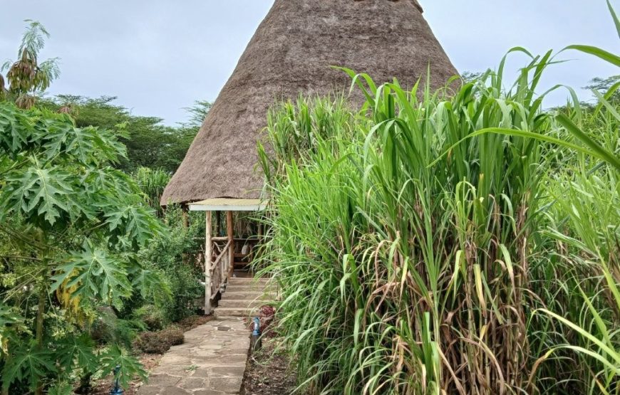 Enjiiri – Deluxe Double