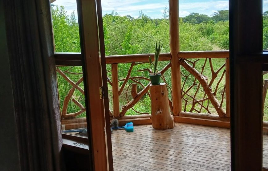 Enjiiri – Deluxe Double