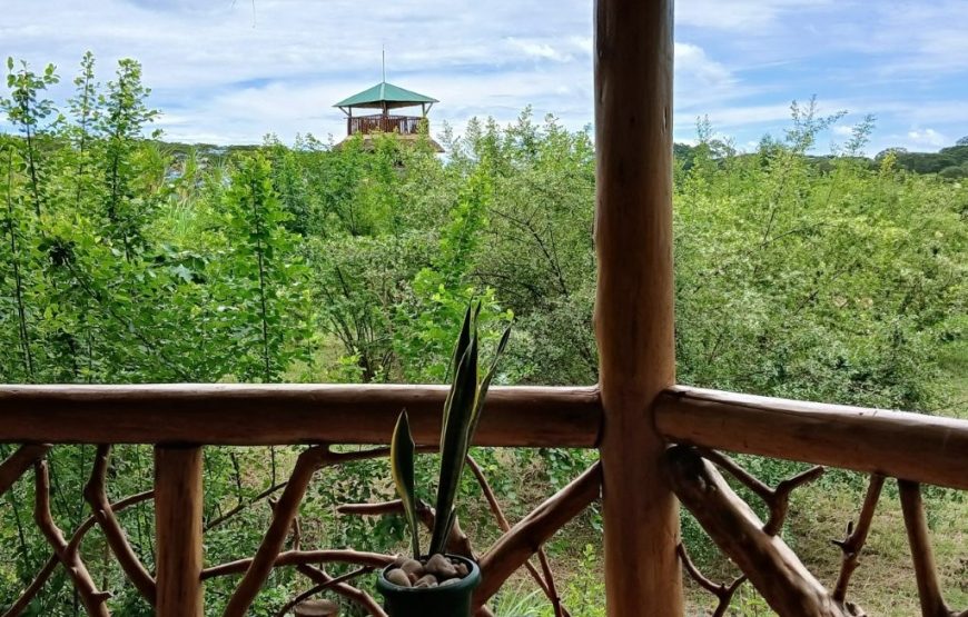 Enjiiri – Deluxe Double